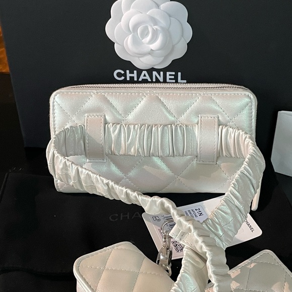SOLD. NEW Chanel Bumbag Belt bag  Coco Neige Runway Limited Edition Iridescent - Picture 6 of 16